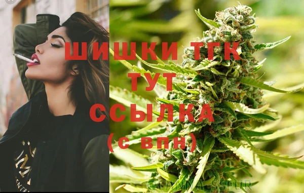 спиды Няндома